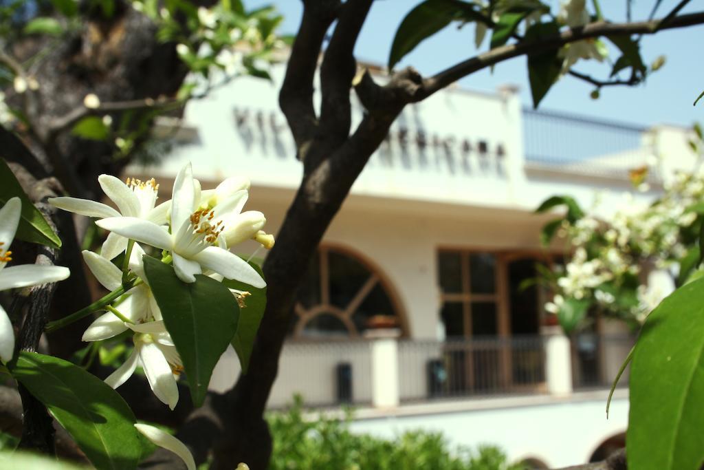 רודי גרגניקו Park Hotel Villa Americana מראה חיצוני תמונה